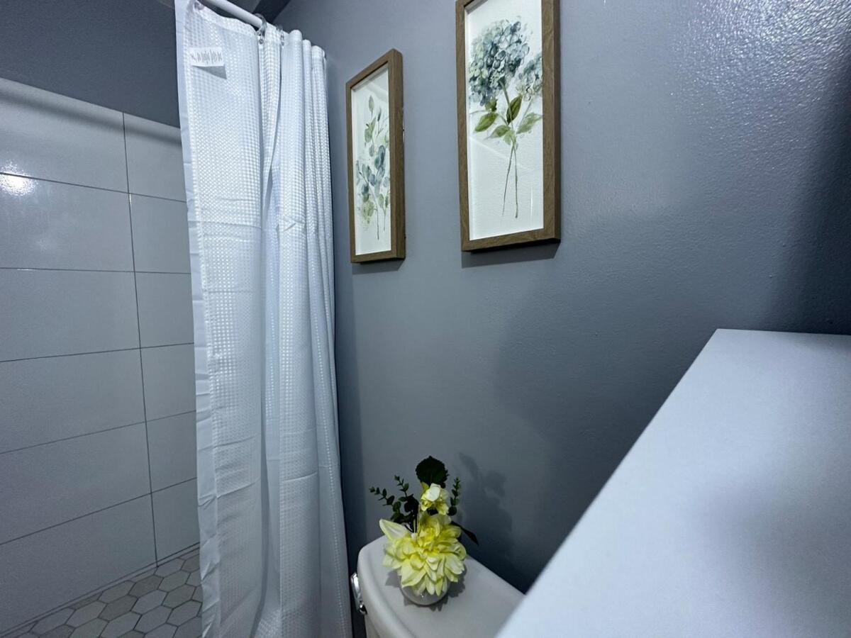 One Bedroom City Apartment Fully Ac With 24Hrs Security Kingston Esterno foto